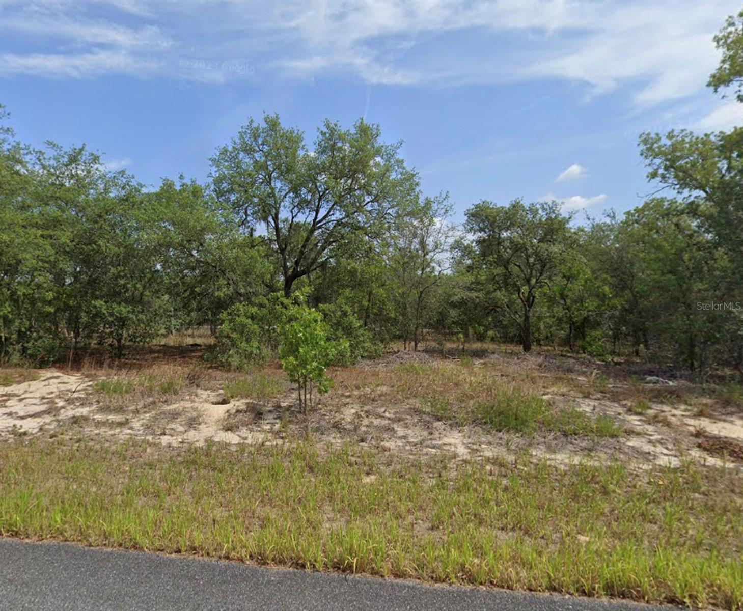 1681 W SWANSON DR, CITRUS SPRINGS, FL, 34434