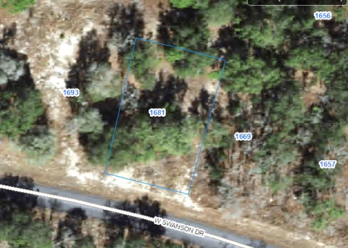 1681 W SWANSON DR, CITRUS SPRINGS, FL, 34434