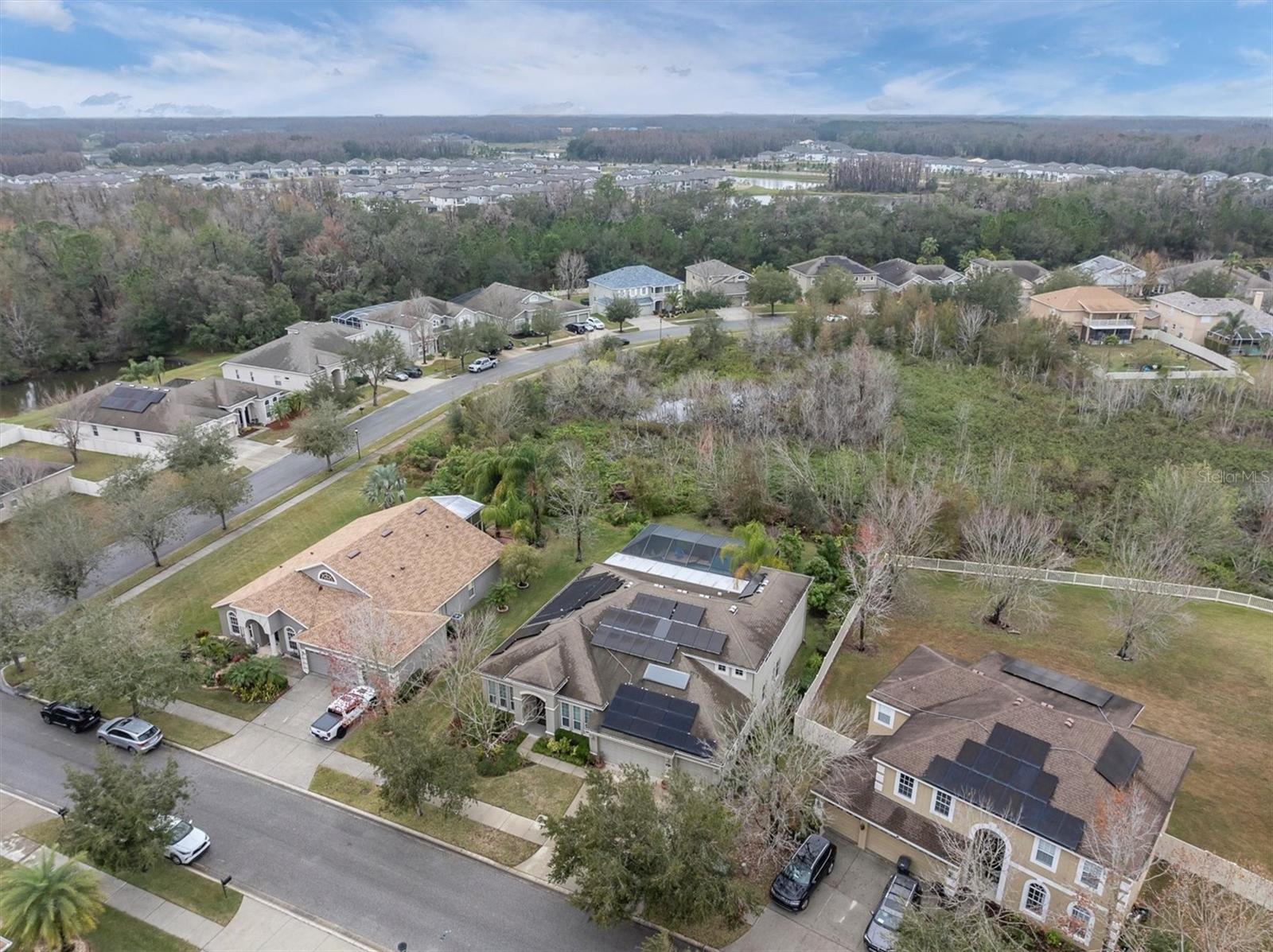 20240 RAVENS END DR, TAMPA, FL, 33647