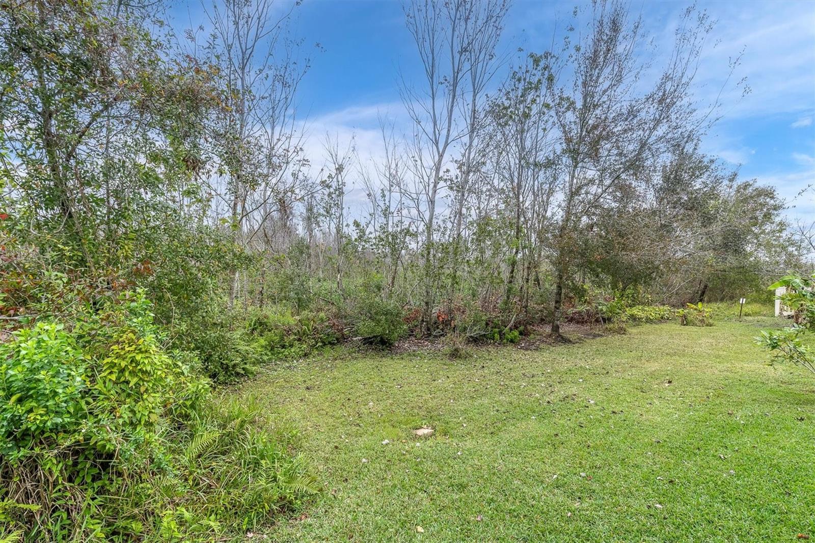 20240 RAVENS END DR, TAMPA, FL, 33647