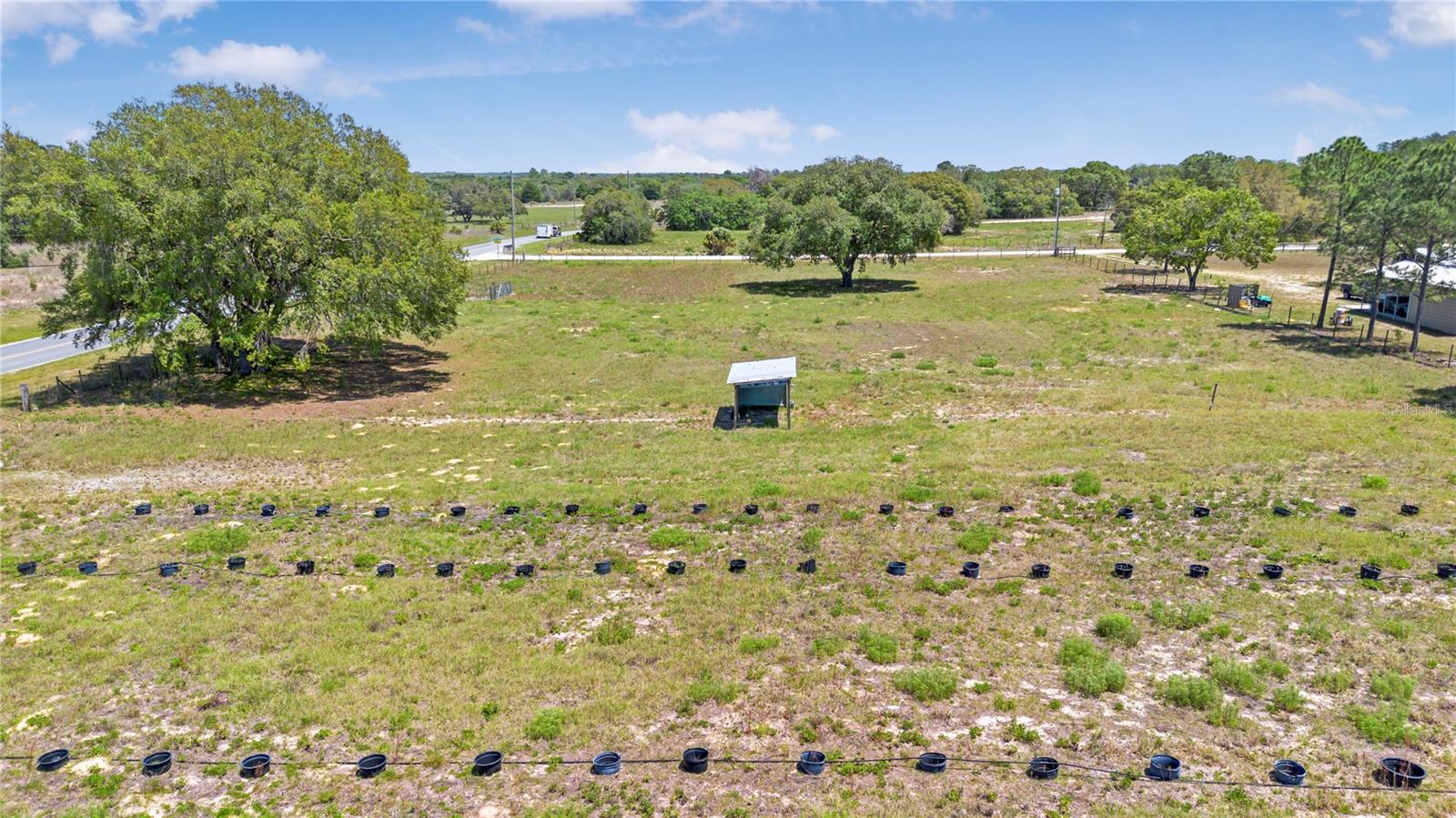 6787 S SUNNYVIEW PT, HOMOSASSA, FL, 34446