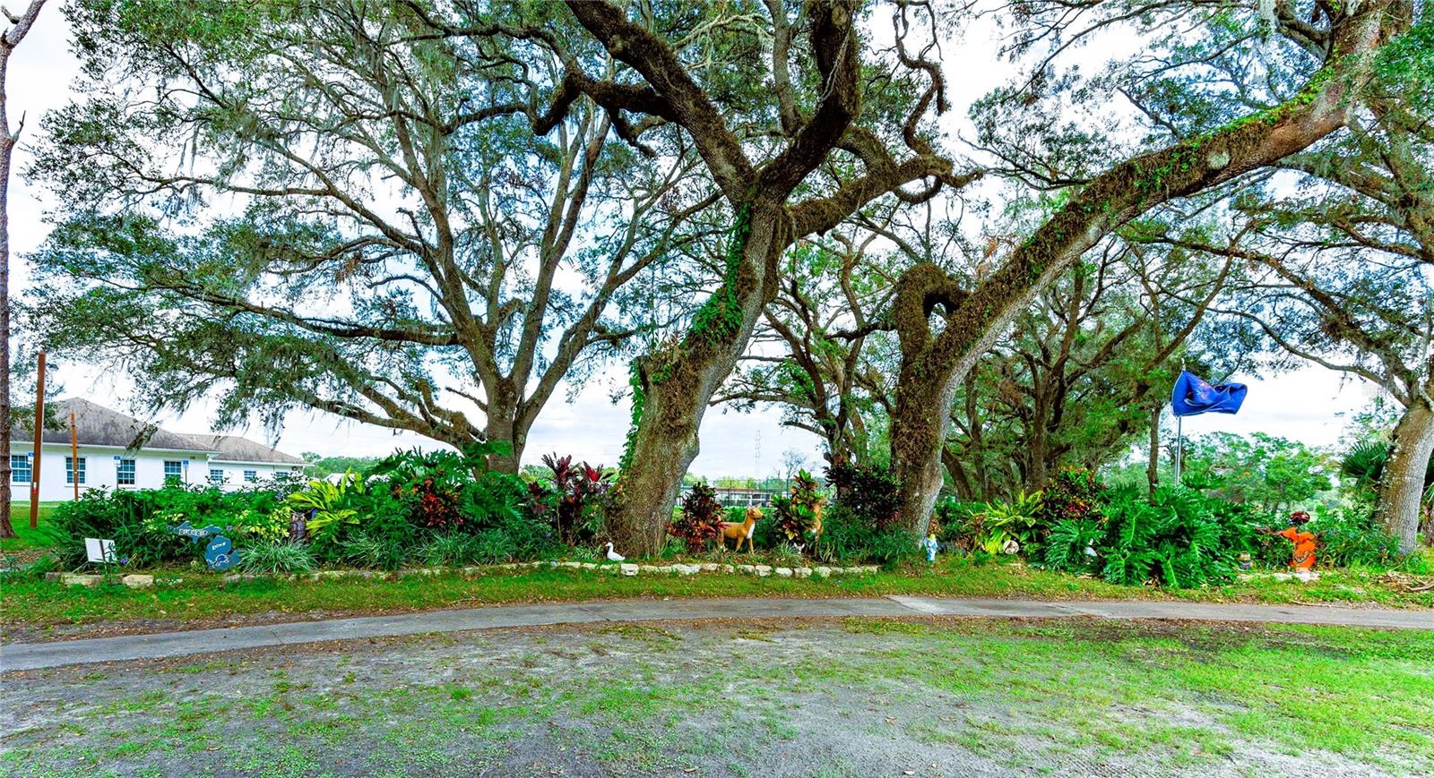 37025 KAREN AVE, ZEPHYRHILLS, FL, 33542