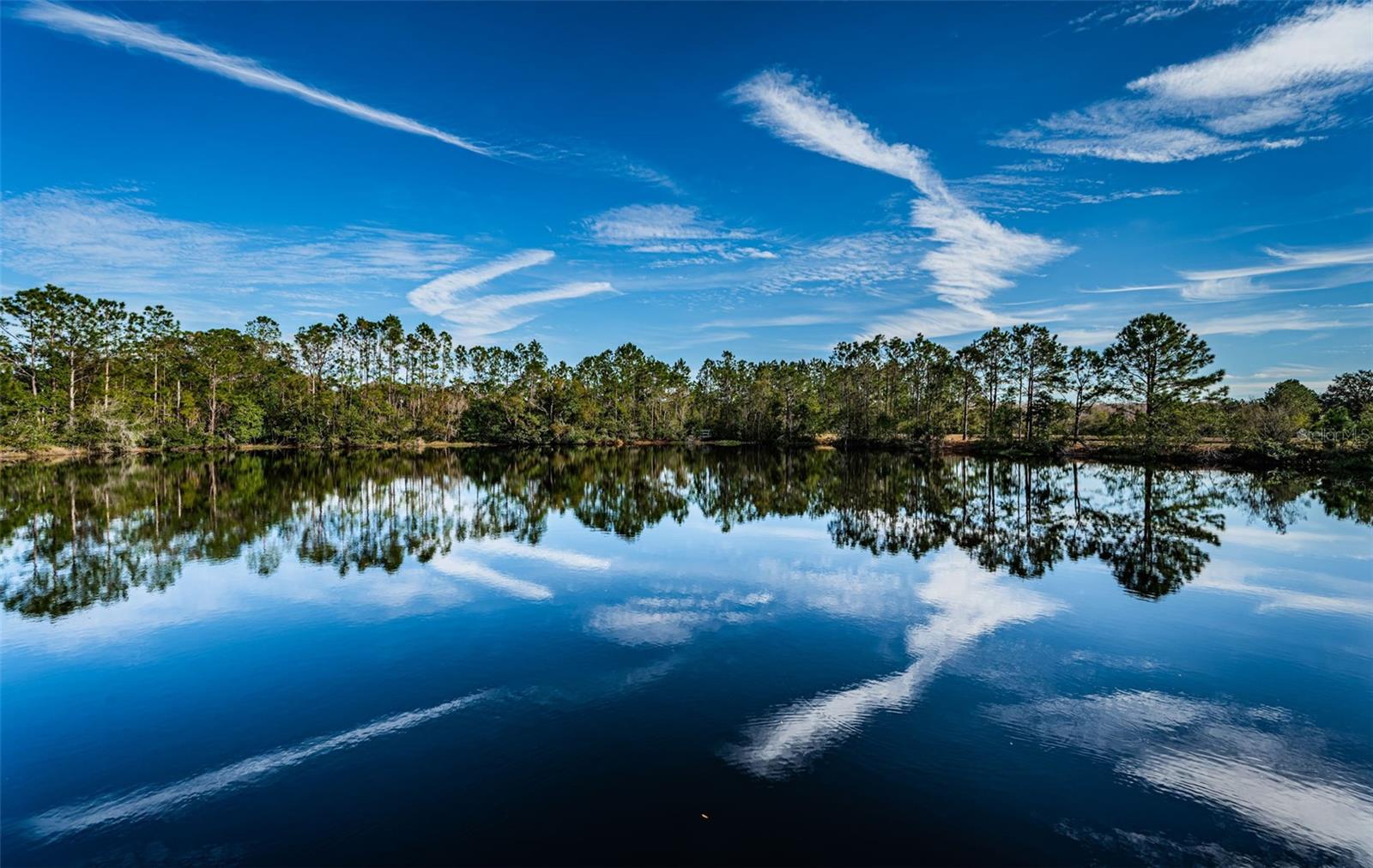 3213 GRANITE RIDGE LOOP, LAND O LAKES, FL, 34638