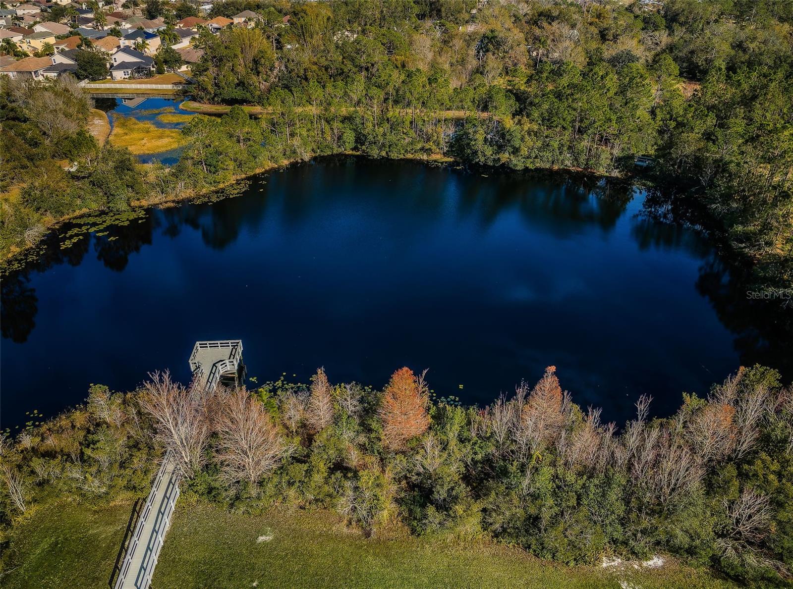 3213 GRANITE RIDGE LOOP, LAND O LAKES, FL, 34638