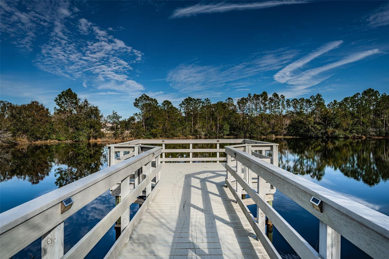 3213 GRANITE RIDGE LOOP, LAND O LAKES, FL, 34638