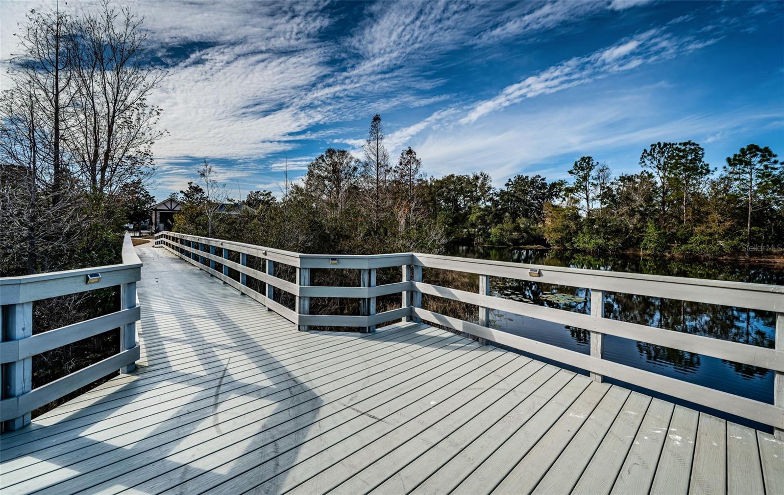 3213 GRANITE RIDGE LOOP, LAND O LAKES, FL, 34638