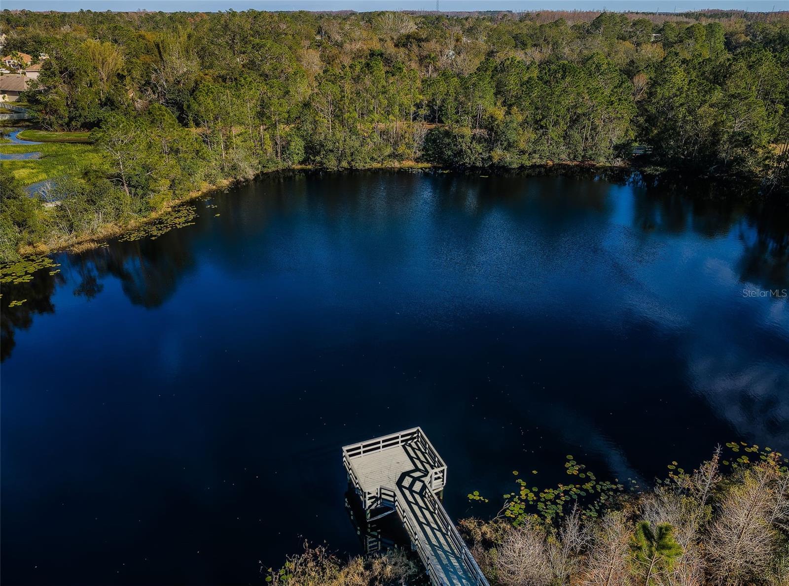 3213 GRANITE RIDGE LOOP, LAND O LAKES, FL, 34638