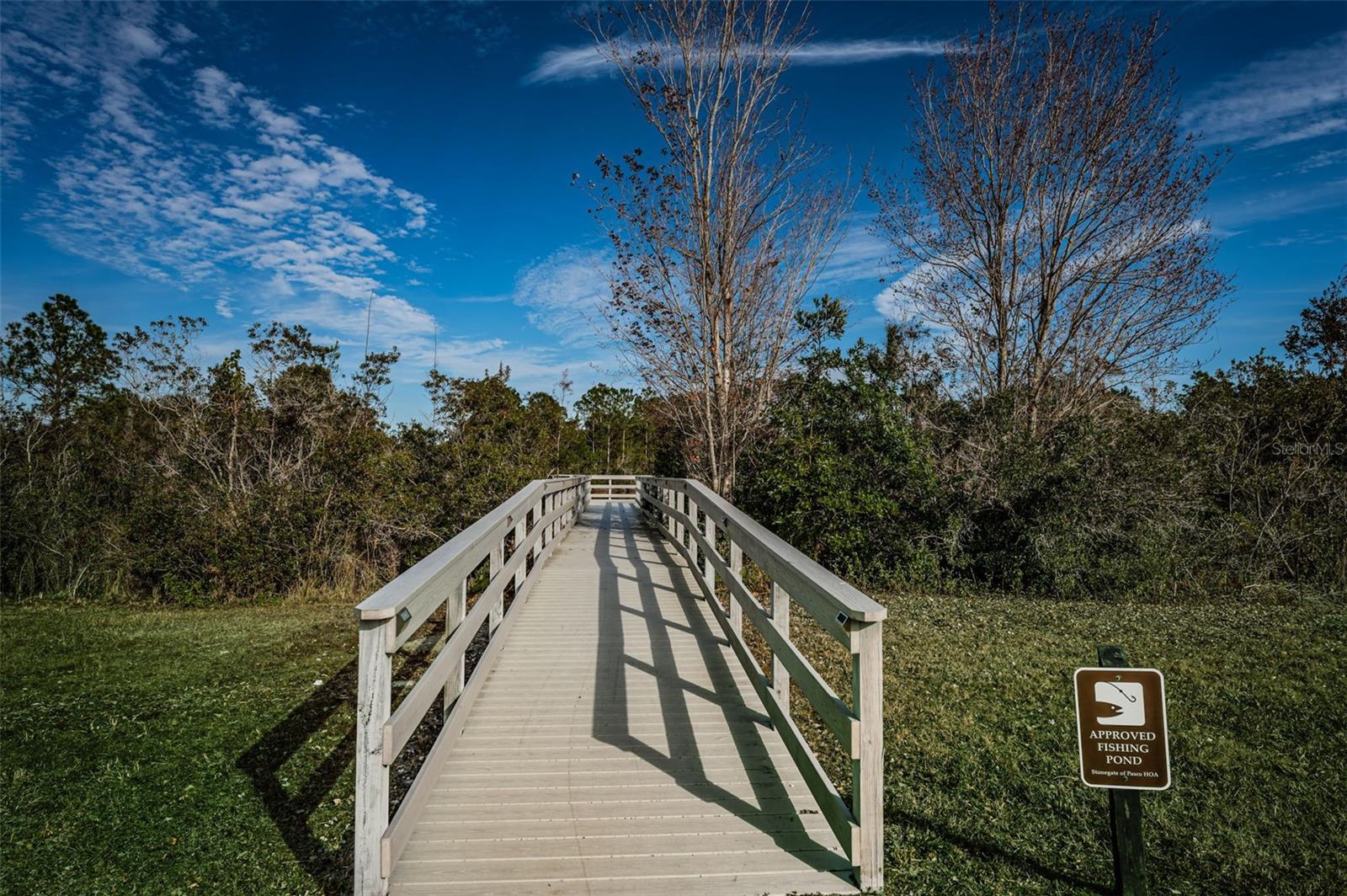 3213 GRANITE RIDGE LOOP, LAND O LAKES, FL, 34638