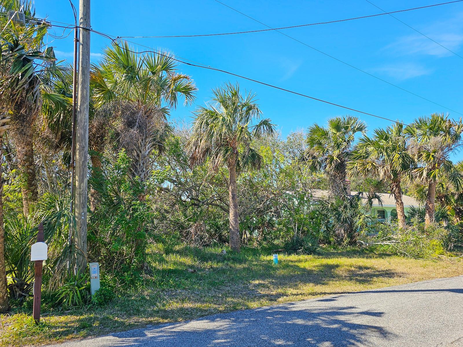 2230 S DAYTONA AVE, FLAGLER BEACH, FL, 32136