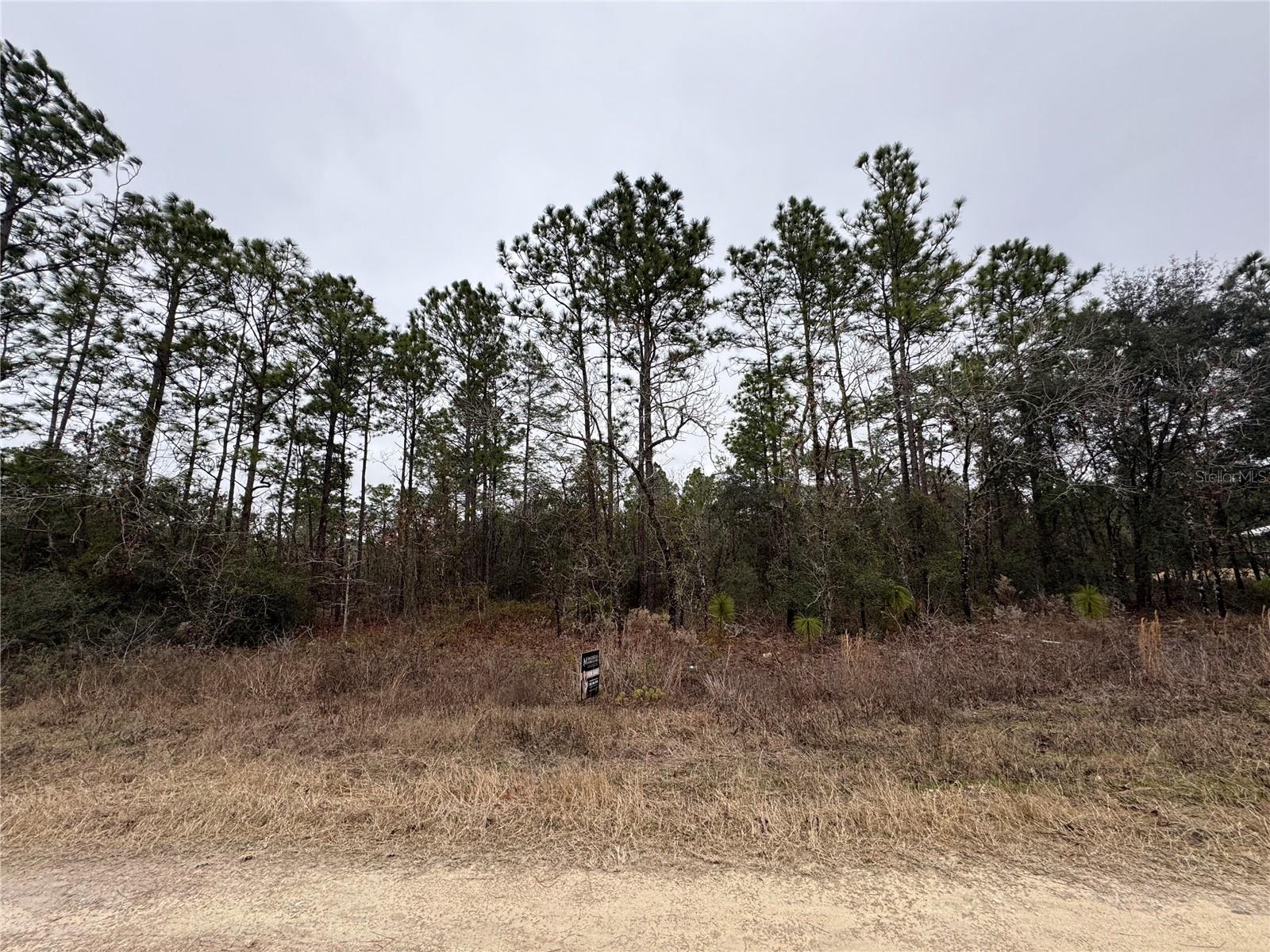 TBD SW 91ST LN, DUNNELLON, FL, 34432