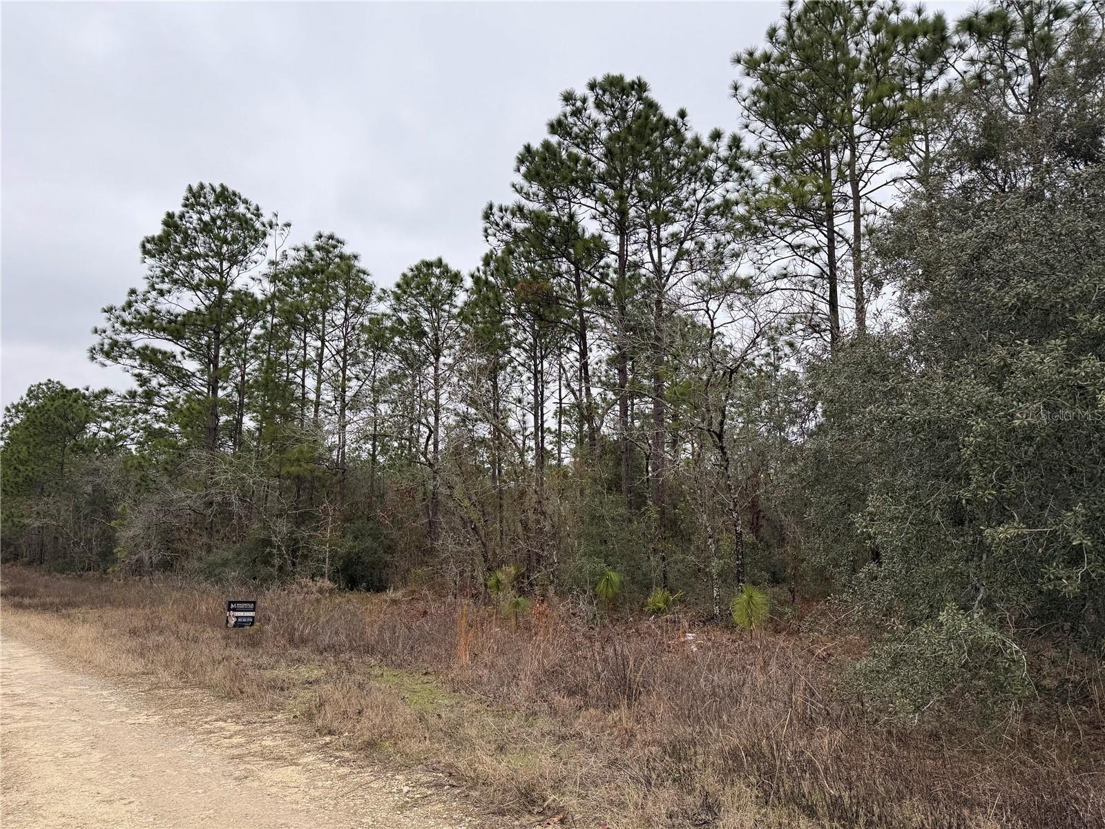 TBD SW 91ST LN, DUNNELLON, FL, 34432