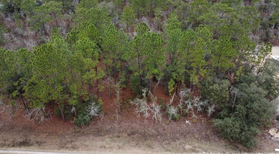 TBD SW 91ST LN, DUNNELLON, FL, 34432