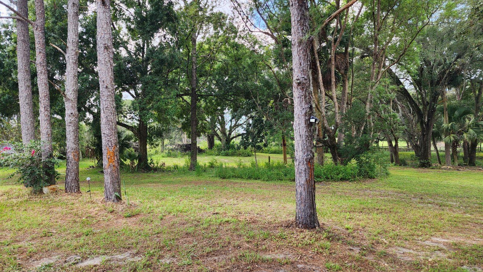 32919 COUNTY ROAD 437, SORRENTO, FL, 32776