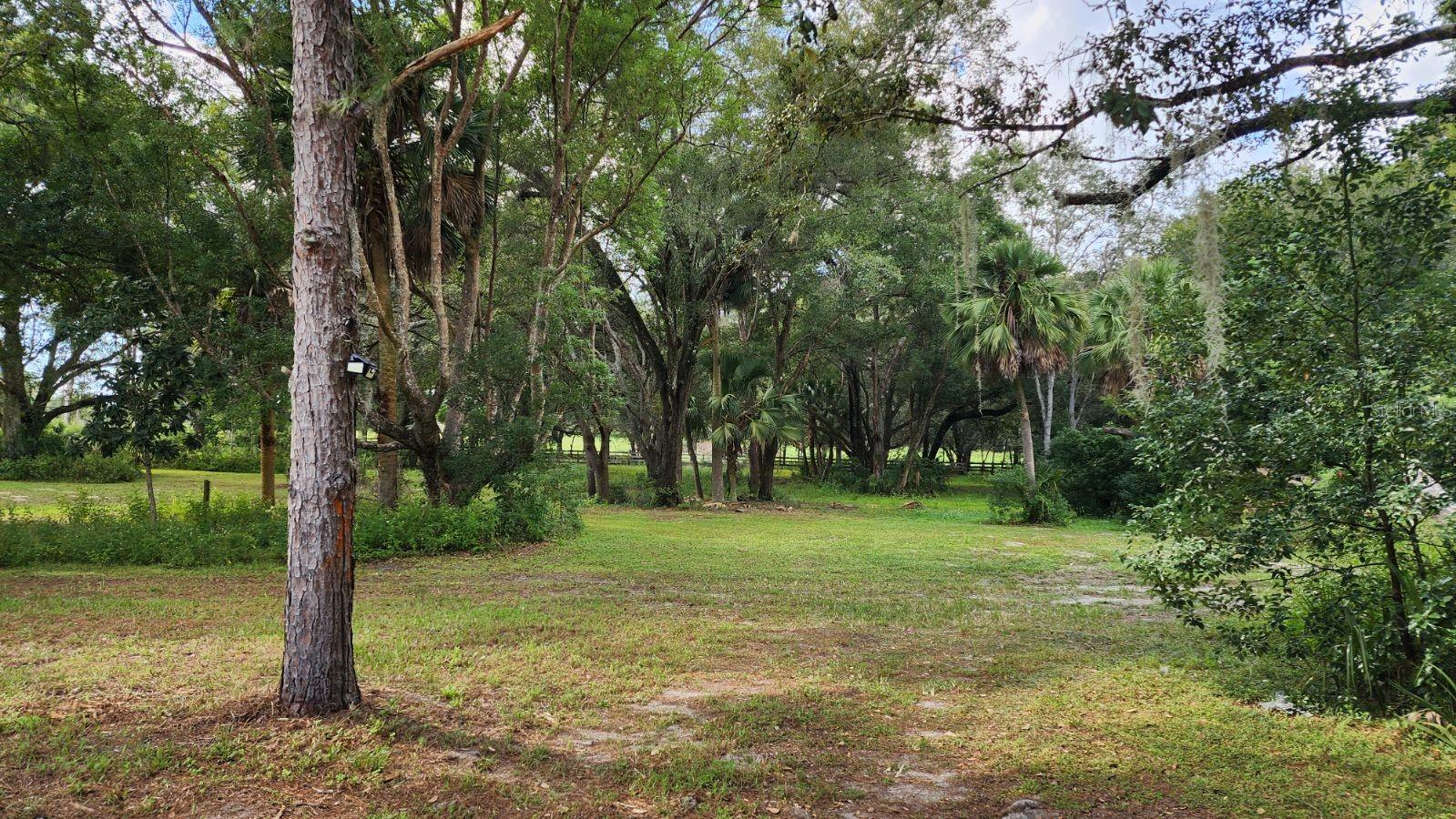 32919 COUNTY ROAD 437, SORRENTO, FL, 32776