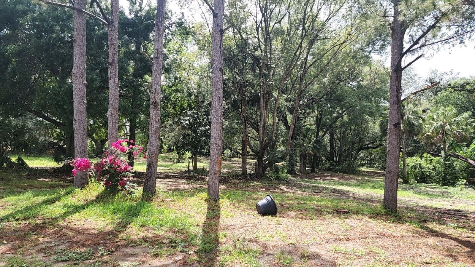 32919 COUNTY ROAD 437, SORRENTO, FL, 32776