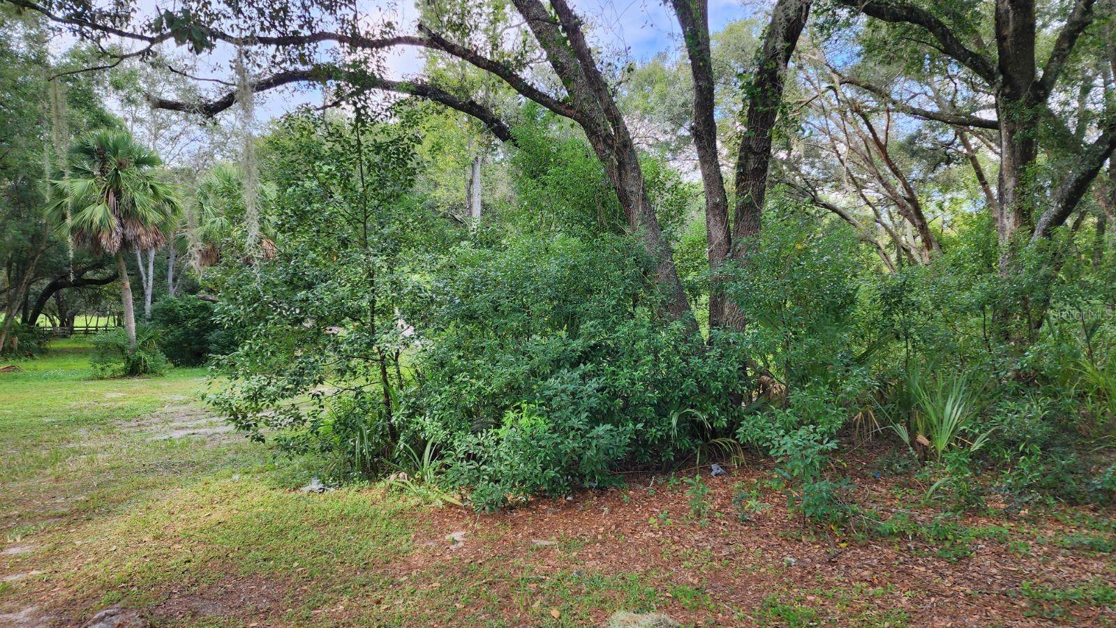 32919 COUNTY ROAD 437, SORRENTO, FL, 32776