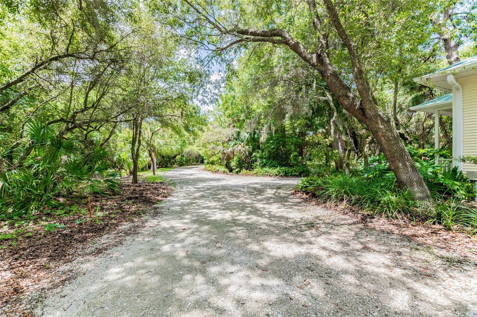 1130 ANCLOTE RD RD, TARPON SPRINGS, FL, 34689