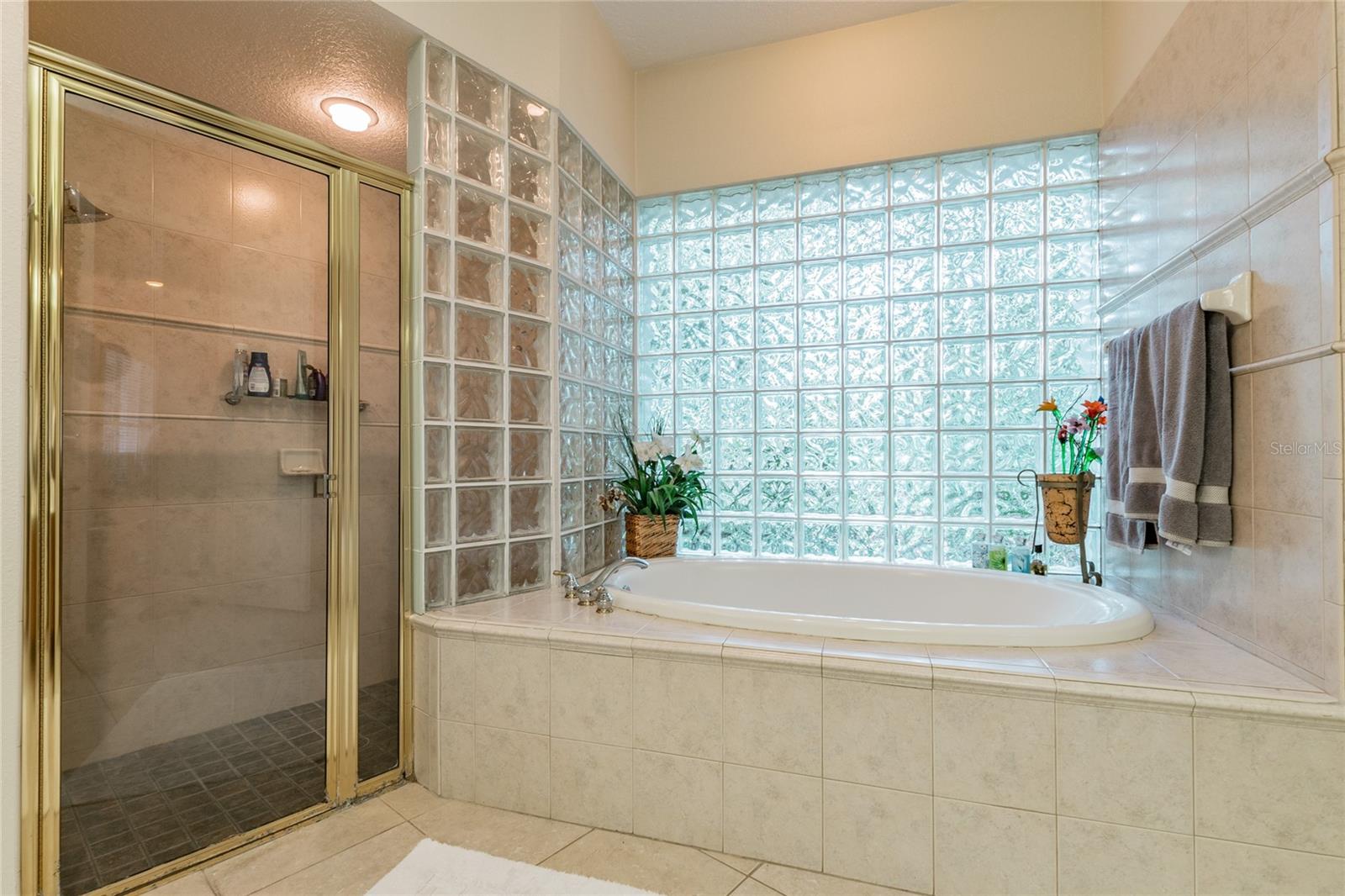 1130 ANCLOTE RD RD, TARPON SPRINGS, FL, 34689
