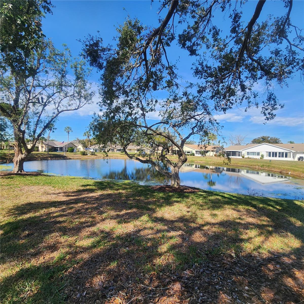 2241 GREENWICH DR #68, SUN CITY CENTER, FL, 33573