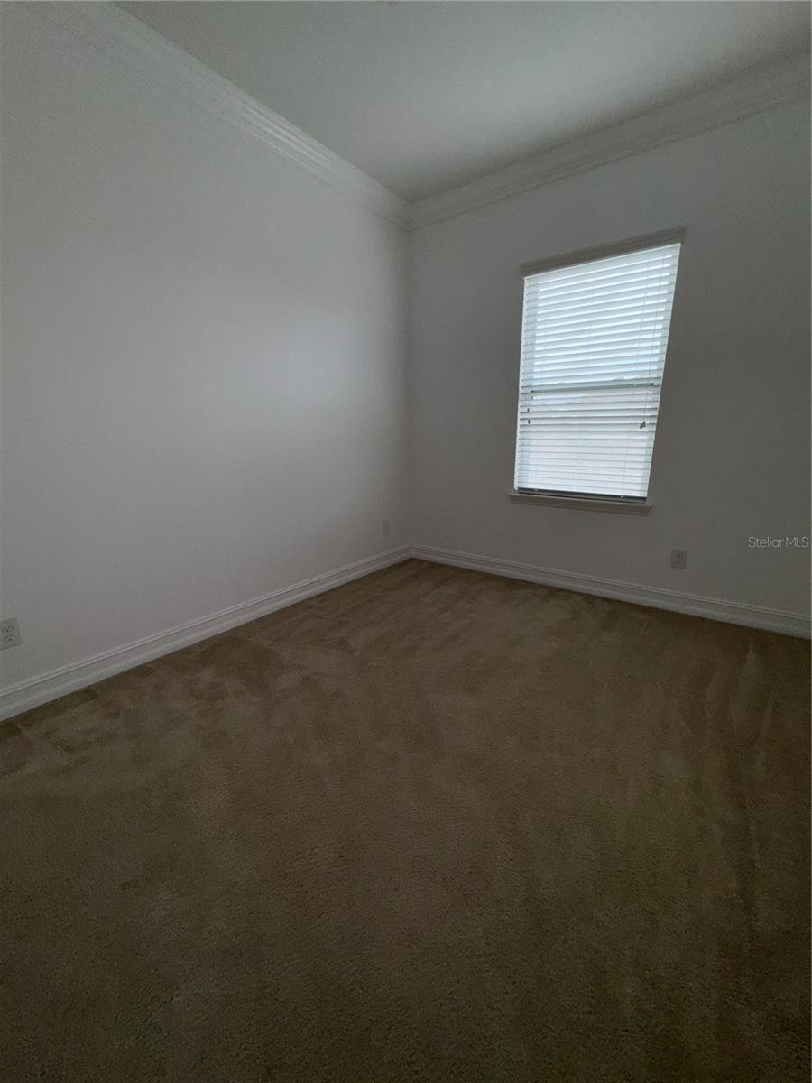 7123 THICKET BRANCH ALY, WINDERMERE, FL, 34786