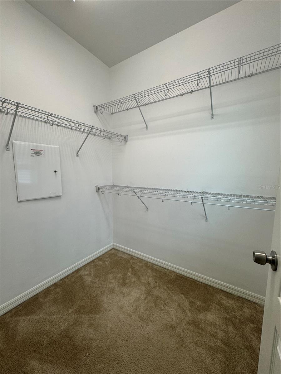 7123 THICKET BRANCH ALY, WINDERMERE, FL, 34786