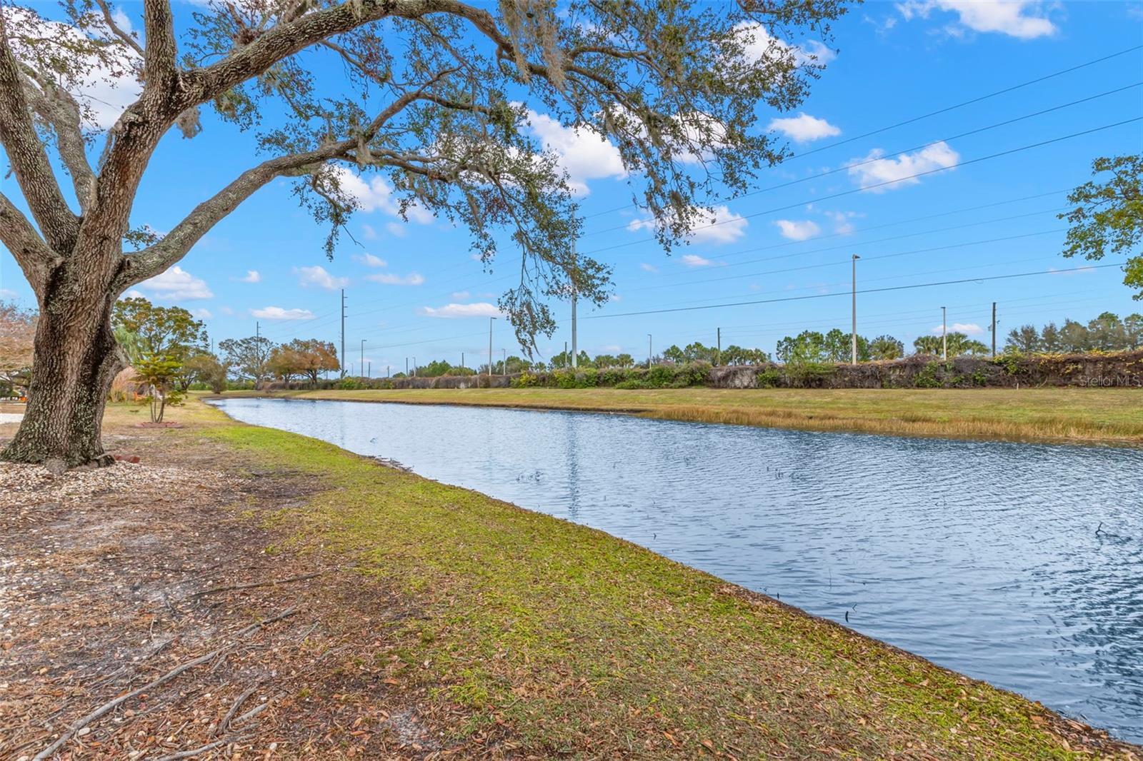 217 LINGER LN, SUN CITY CENTER, FL, 33573