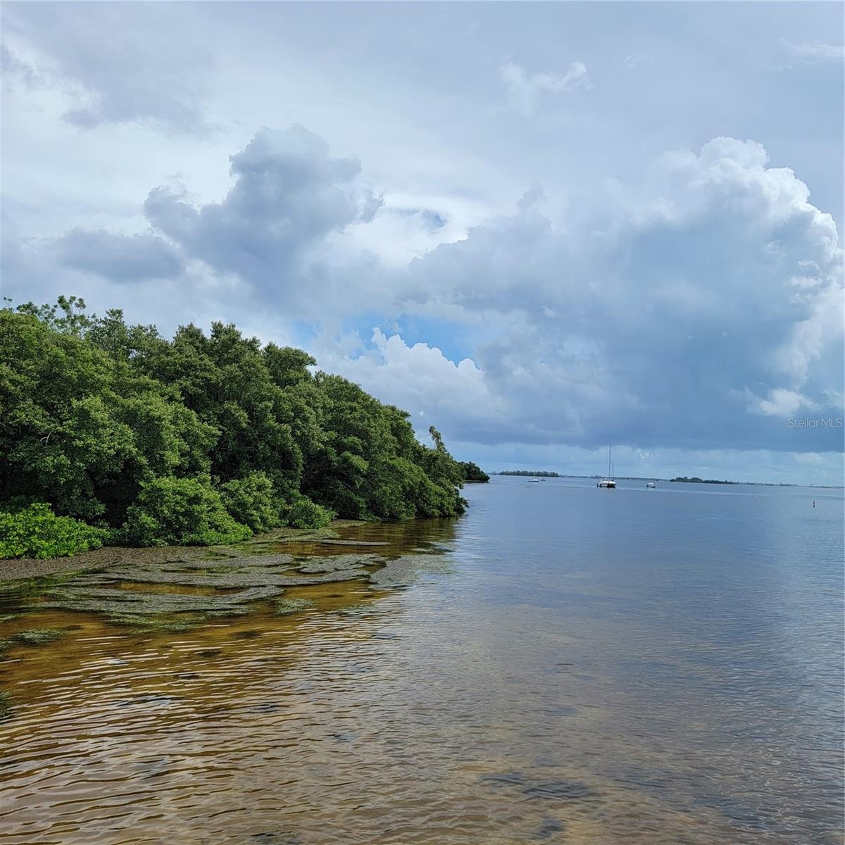 308 CRYSTAL BEACH AVE, CRYSTAL BEACH, FL, 34681