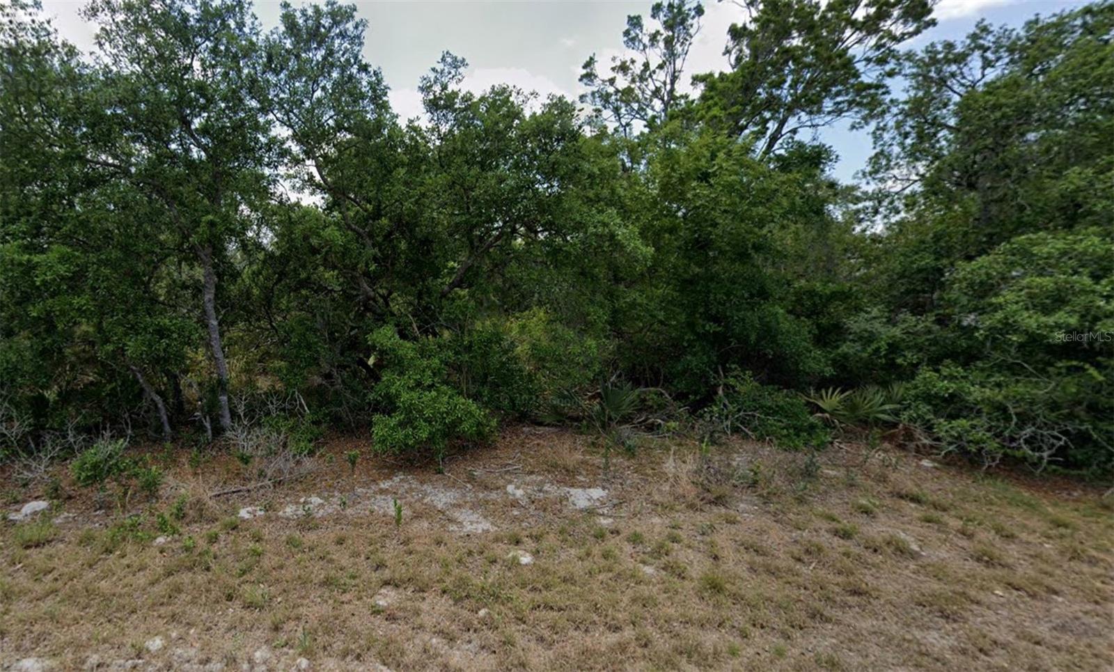132 BONNIE RD NW, LAKE PLACID, FL, 33852