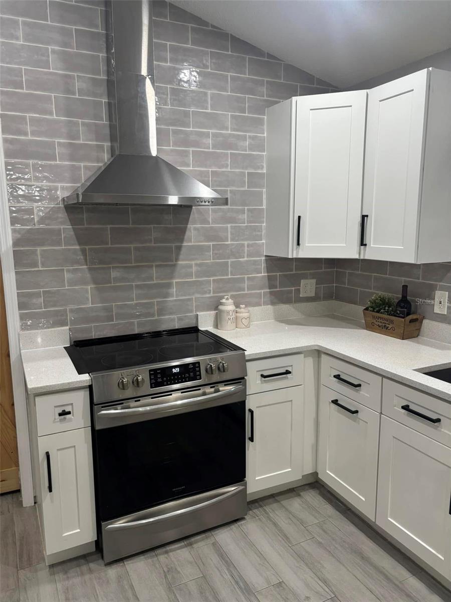 13029 COG HILL WAY, ORLANDO, FL, 32828