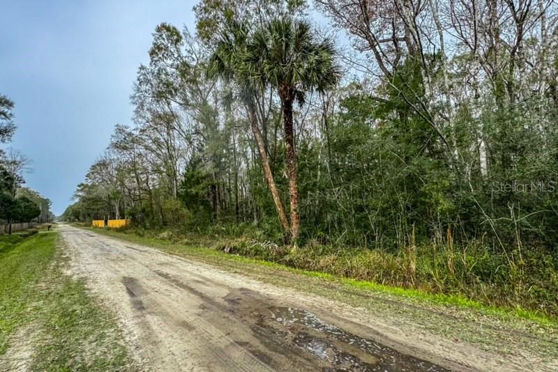 4580 HAROLD ST, HASTINGS, FL, 32145