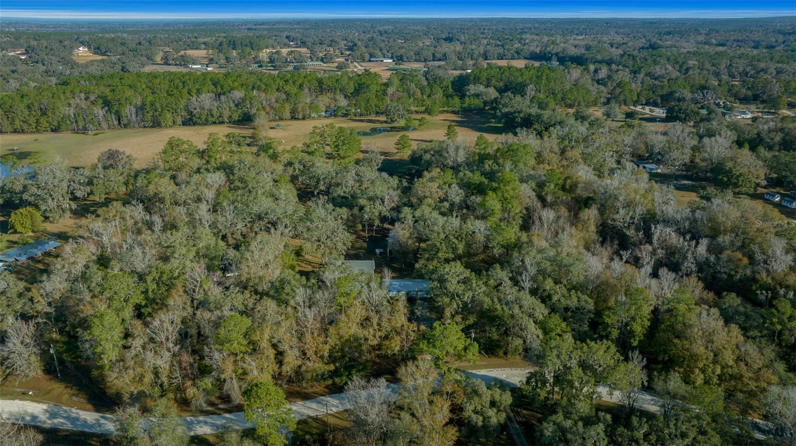 12251 NW 168TH PL, REDDICK, FL, 32686