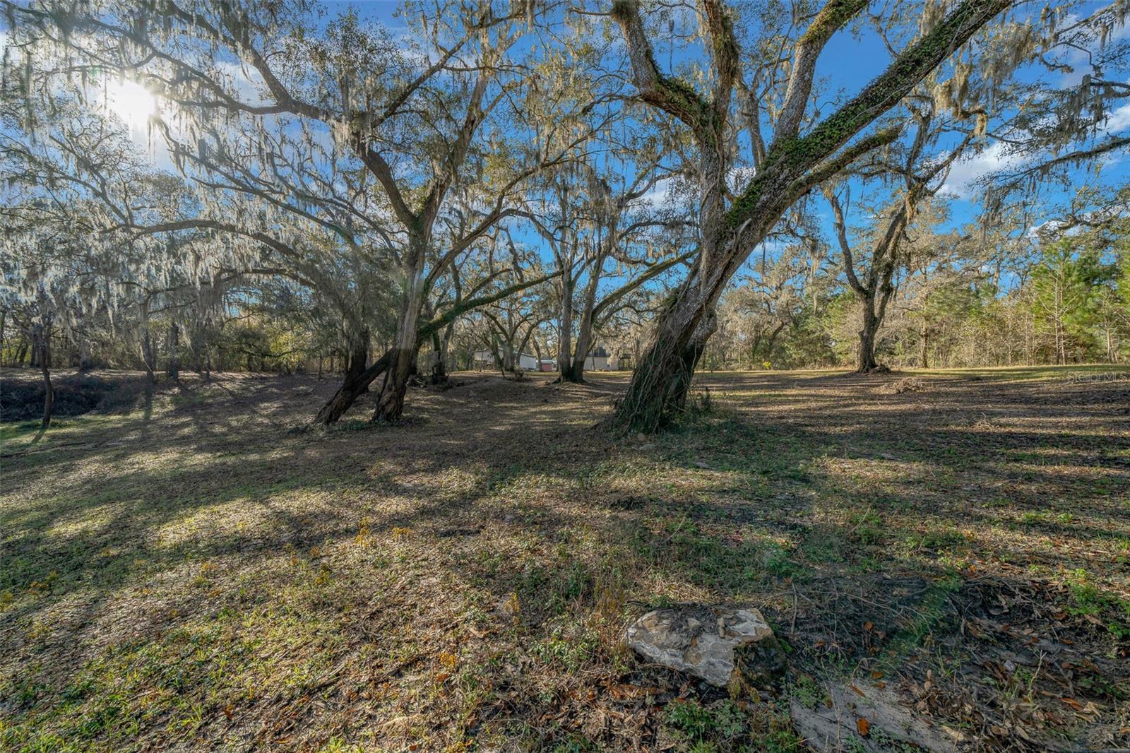 12251 NW 168TH PL, REDDICK, FL, 32686