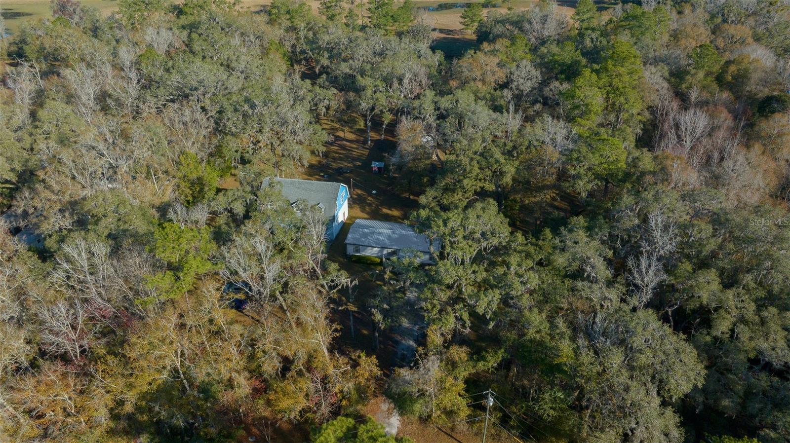 12251 NW 168TH PL, REDDICK, FL, 32686