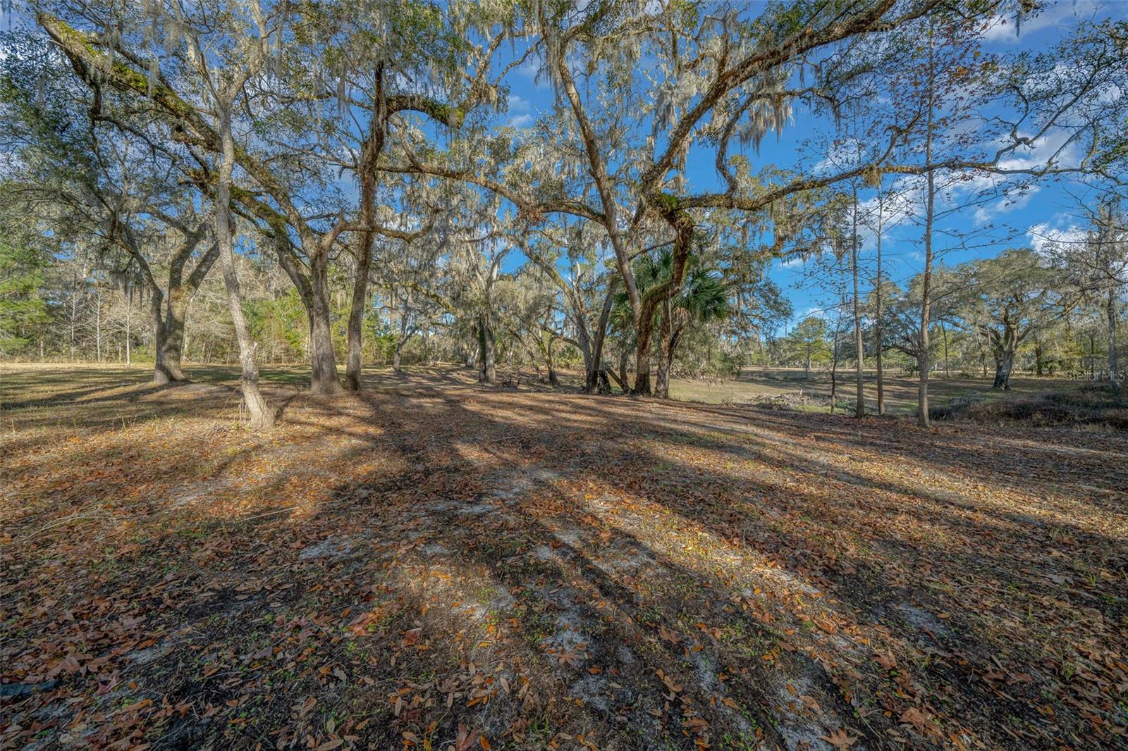 12251 NW 168TH PL, REDDICK, FL, 32686