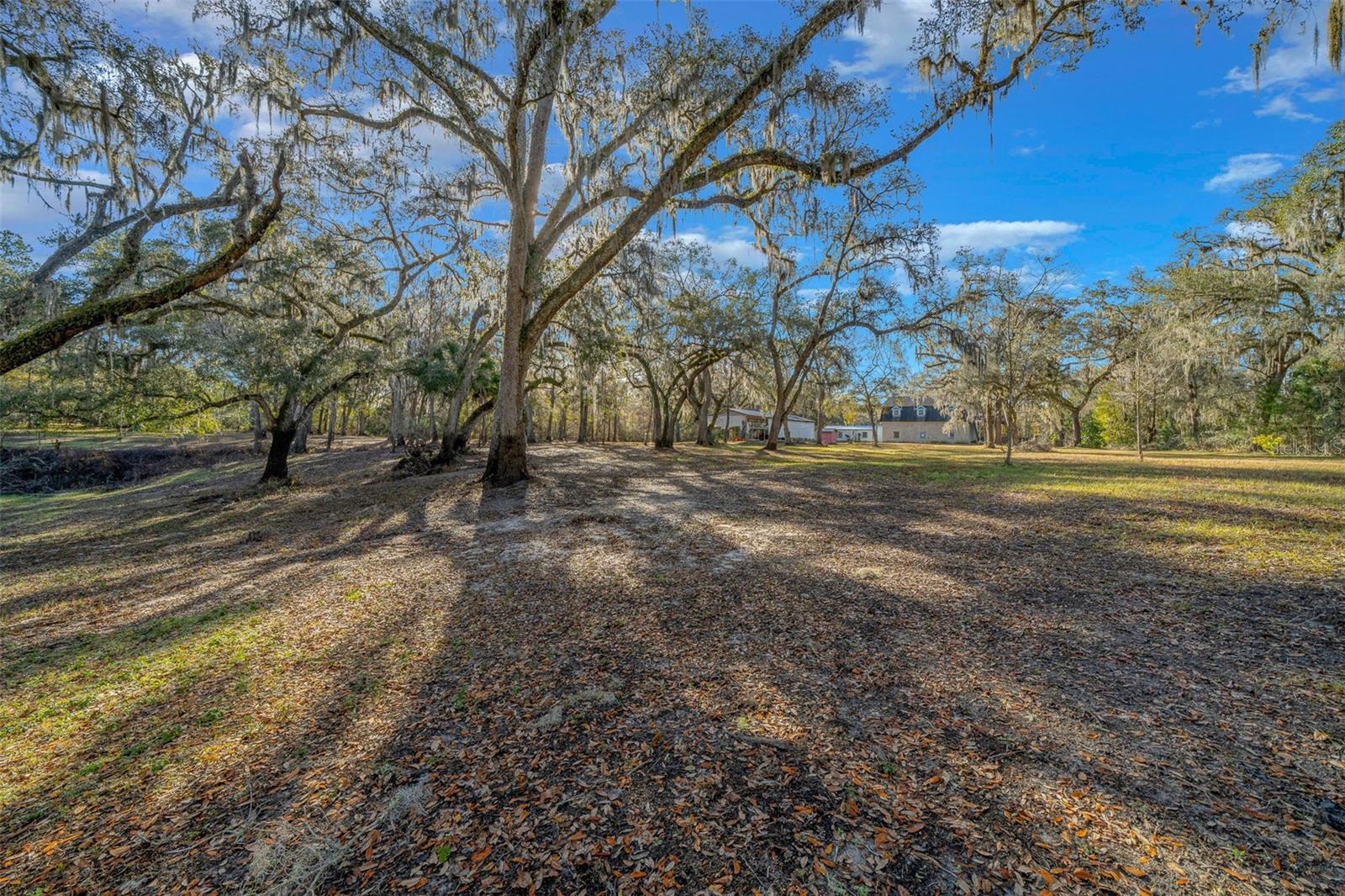 12251 NW 168TH PL, REDDICK, FL, 32686