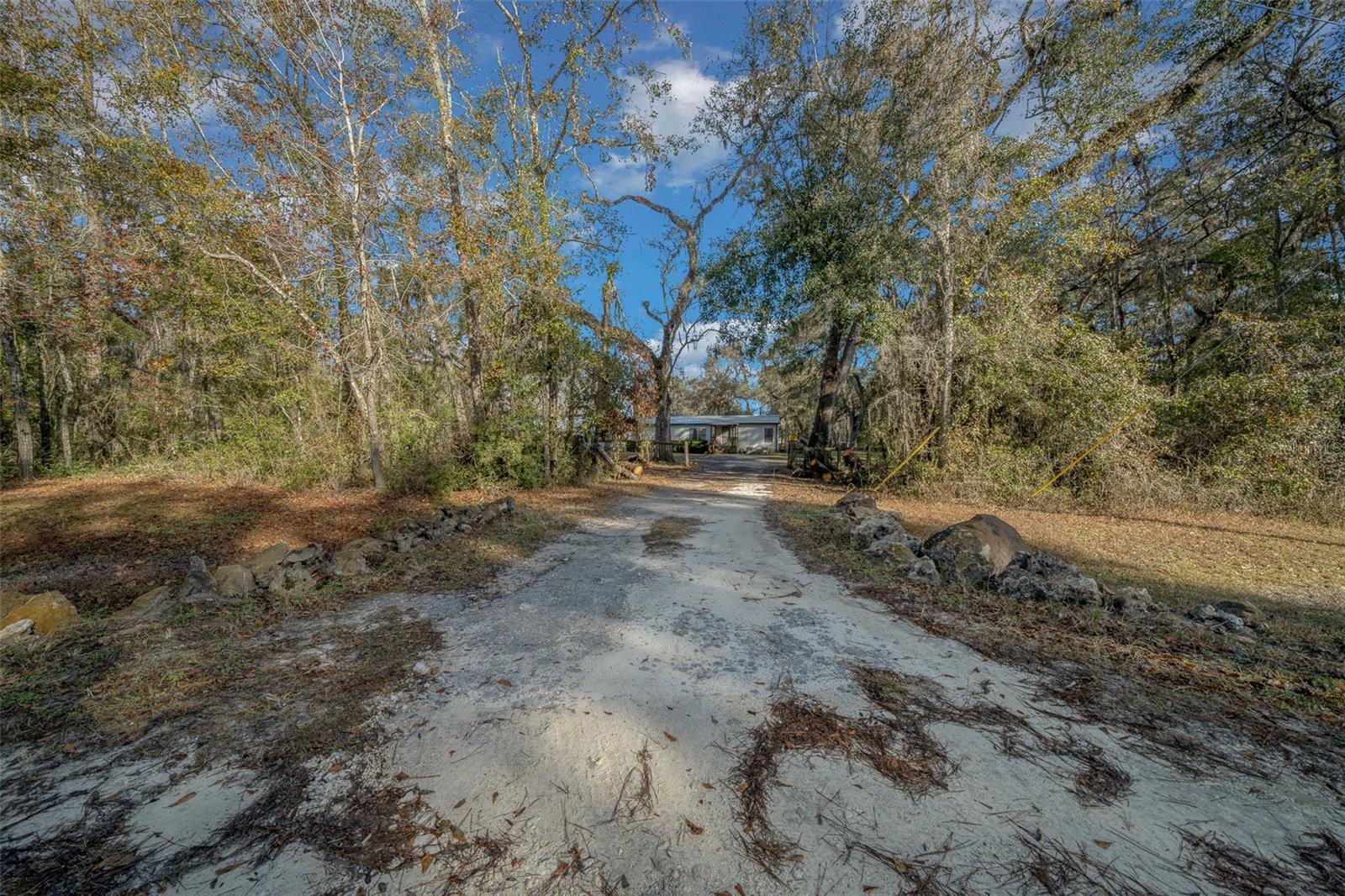 12251 NW 168TH PL, REDDICK, FL, 32686