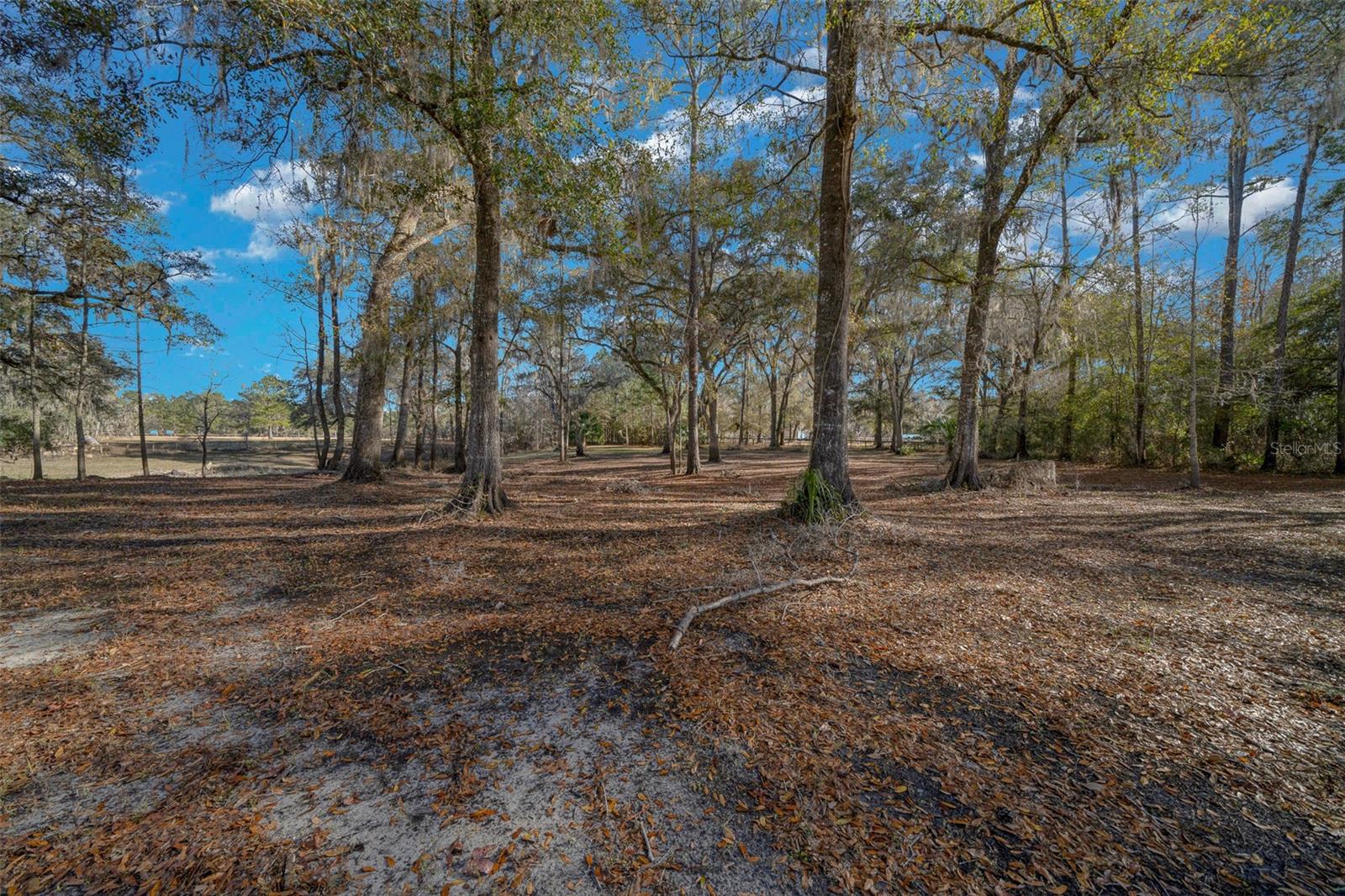 12251 NW 168TH PL, REDDICK, FL, 32686