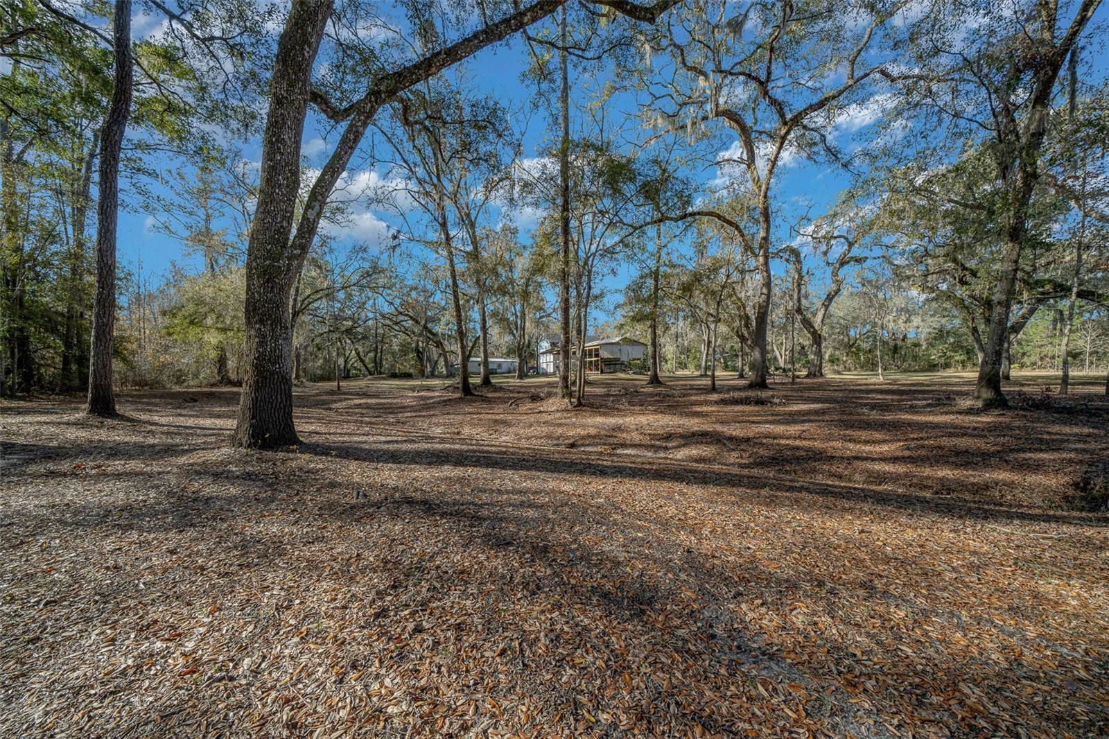 12251 NW 168TH PL, REDDICK, FL, 32686