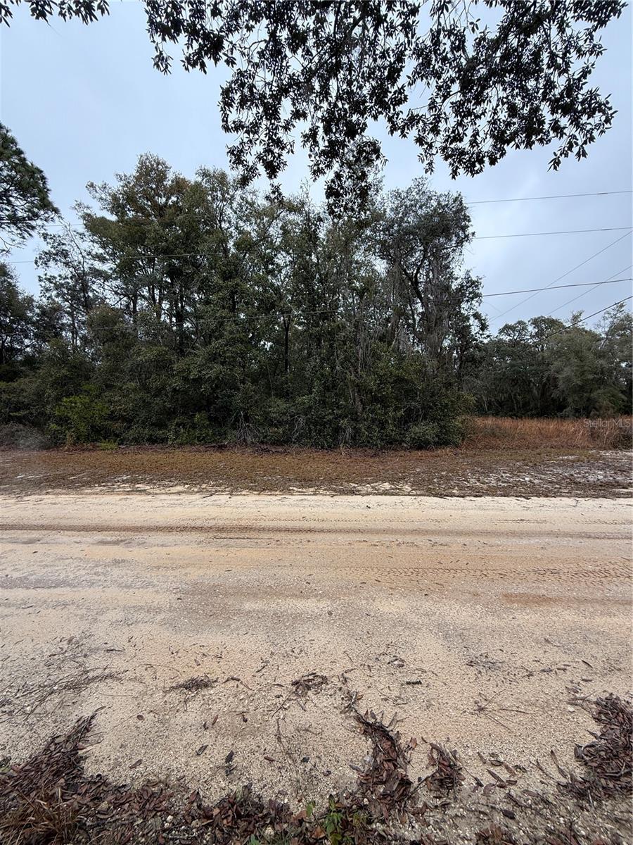 TBD 3264-010-005, SILVER SPRINGS, FL, 34488