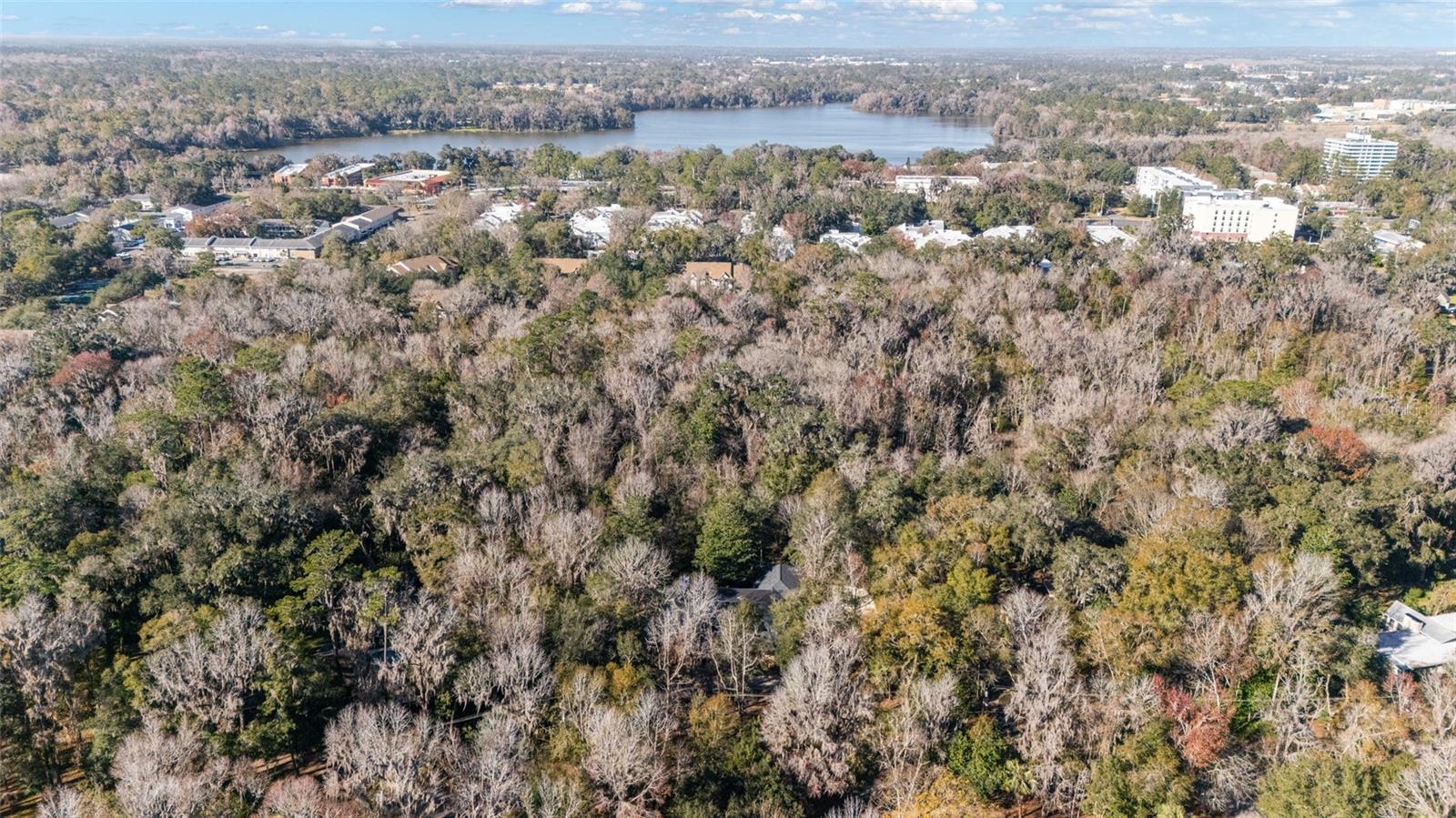 2738 SW 9TH DR, GAINESVILLE, FL, 32601