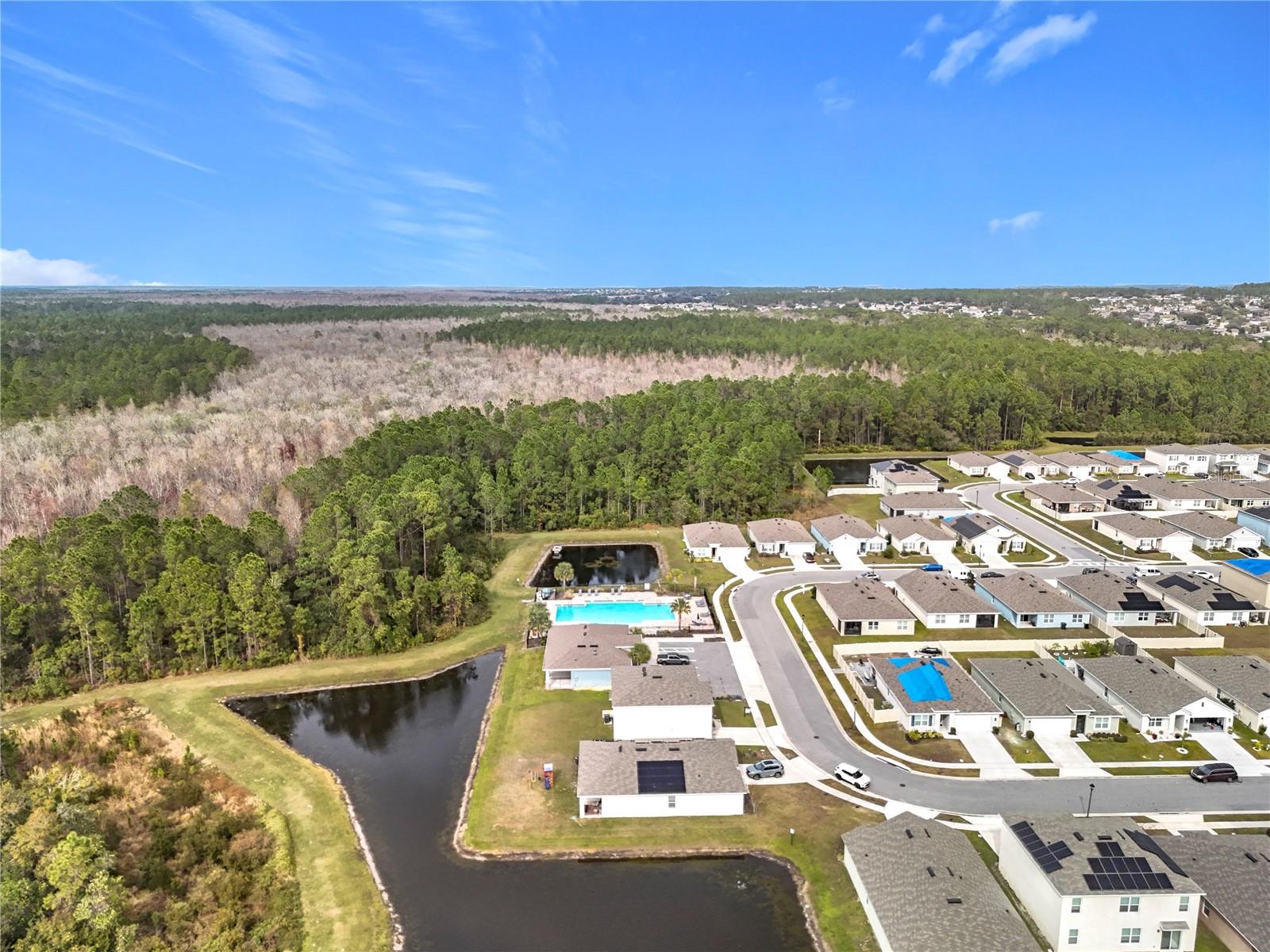 1634 REDDISH EGRET CT, DAVENPORT, FL, 33897