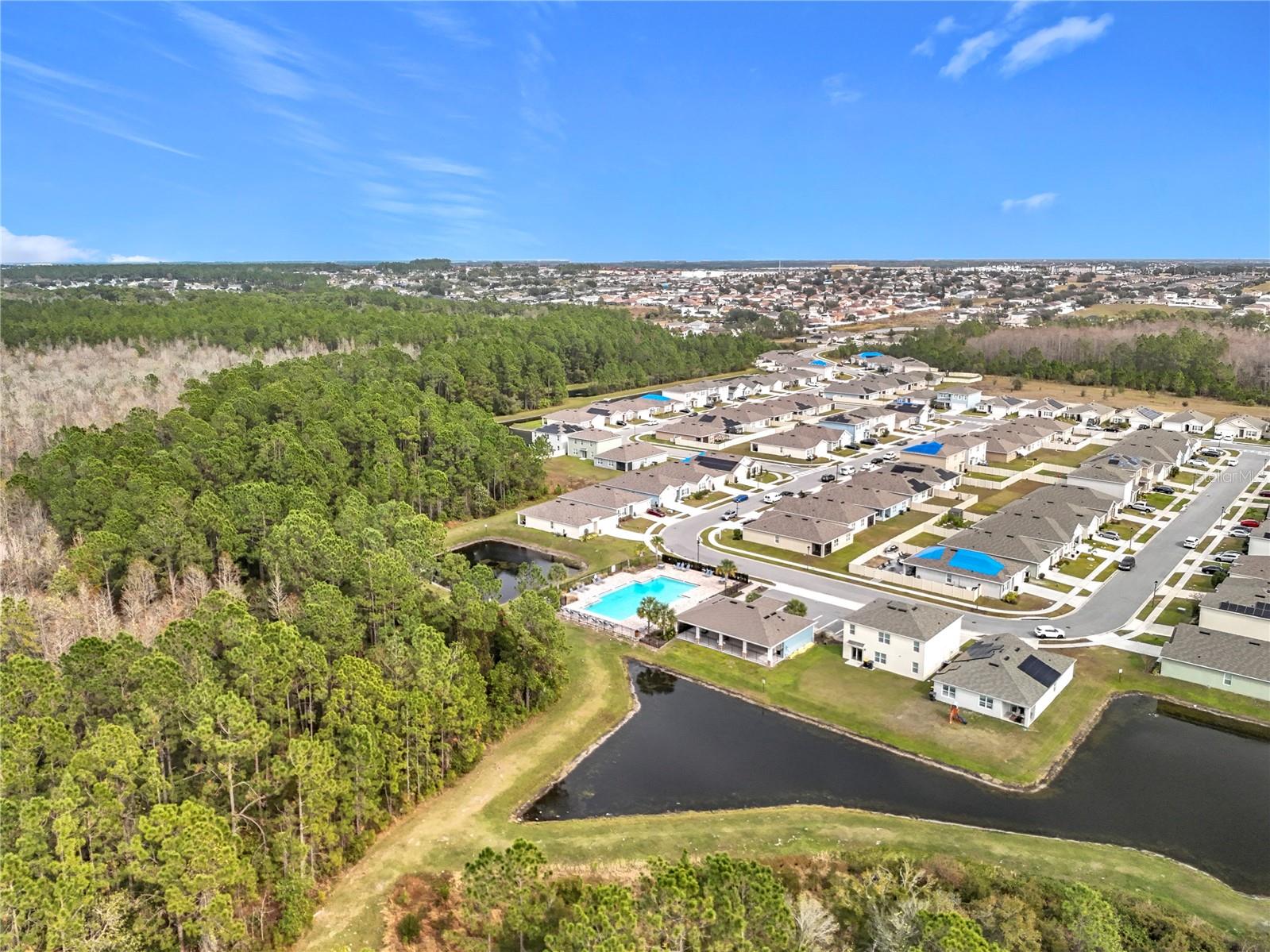 1634 REDDISH EGRET CT, DAVENPORT, FL, 33897