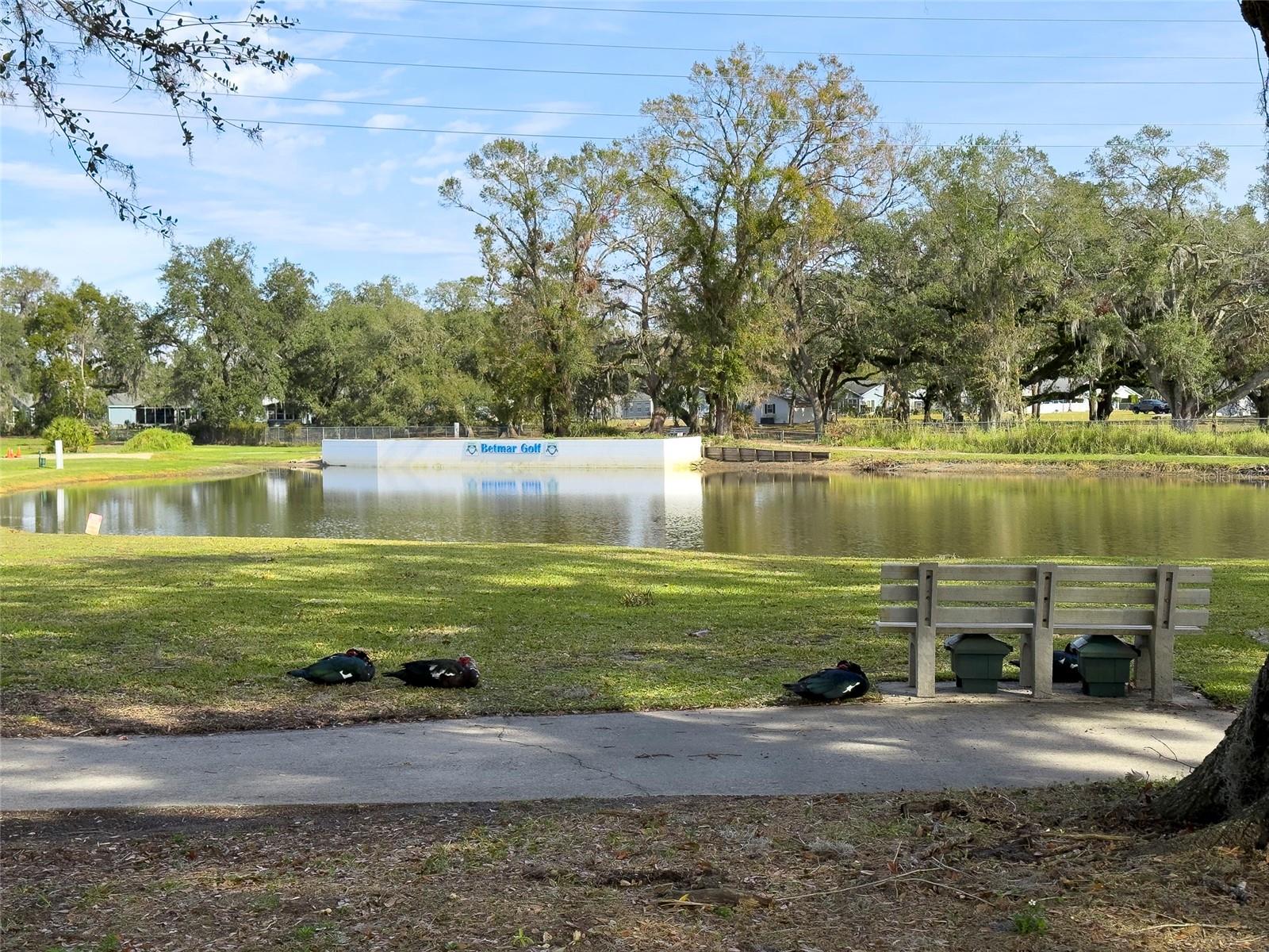 36905 KAY AVE, ZEPHYRHILLS, FL, 33542