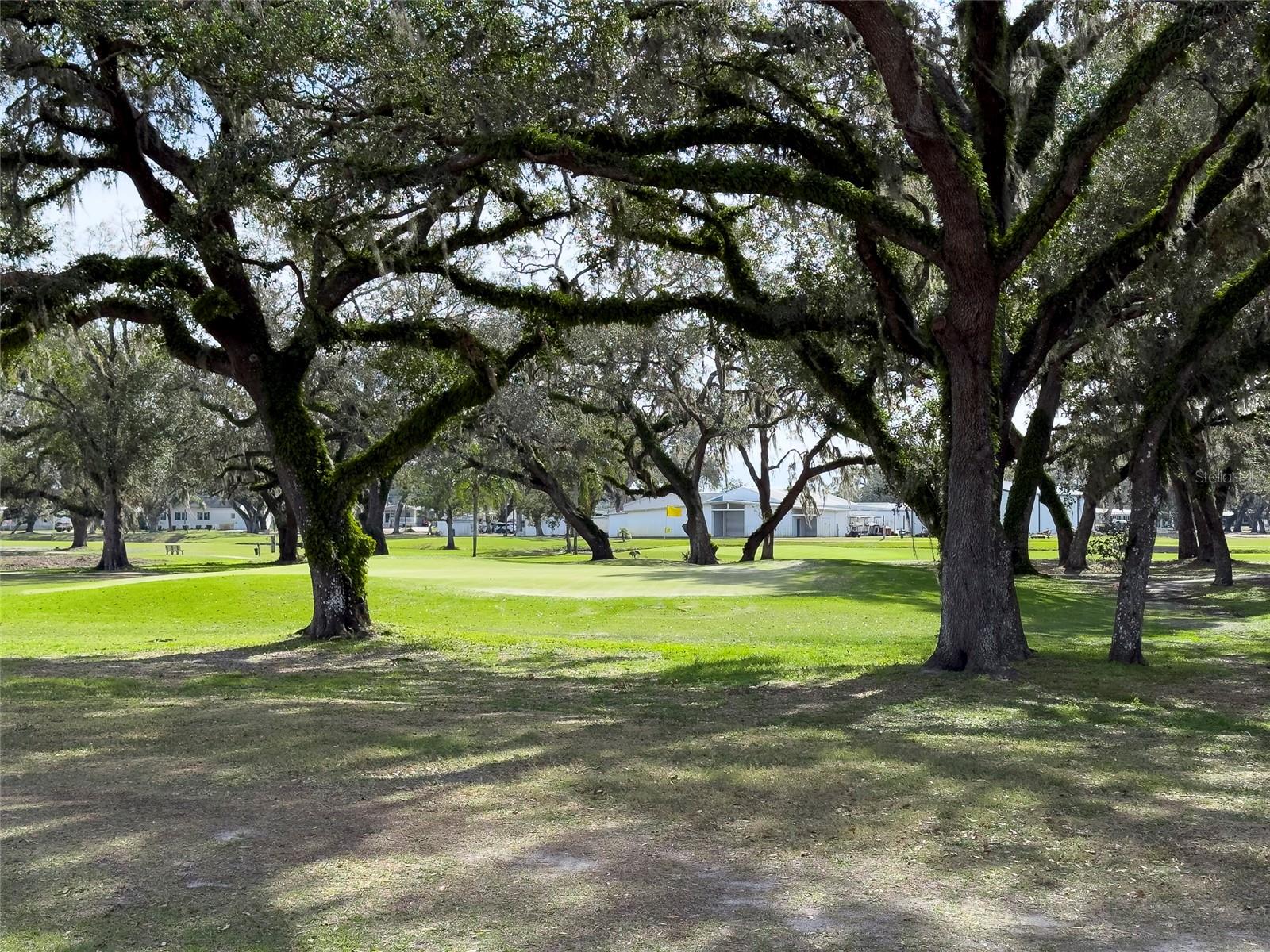 36905 KAY AVE, ZEPHYRHILLS, FL, 33542