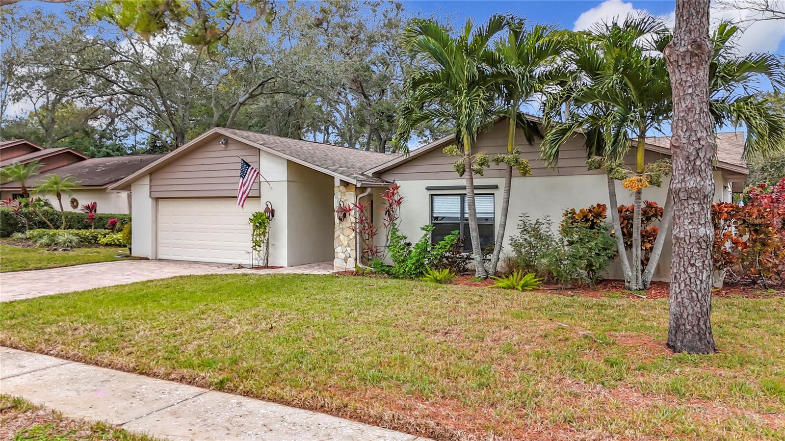 3005 ENISGLEN DR, PALM HARBOR, FL, 34683