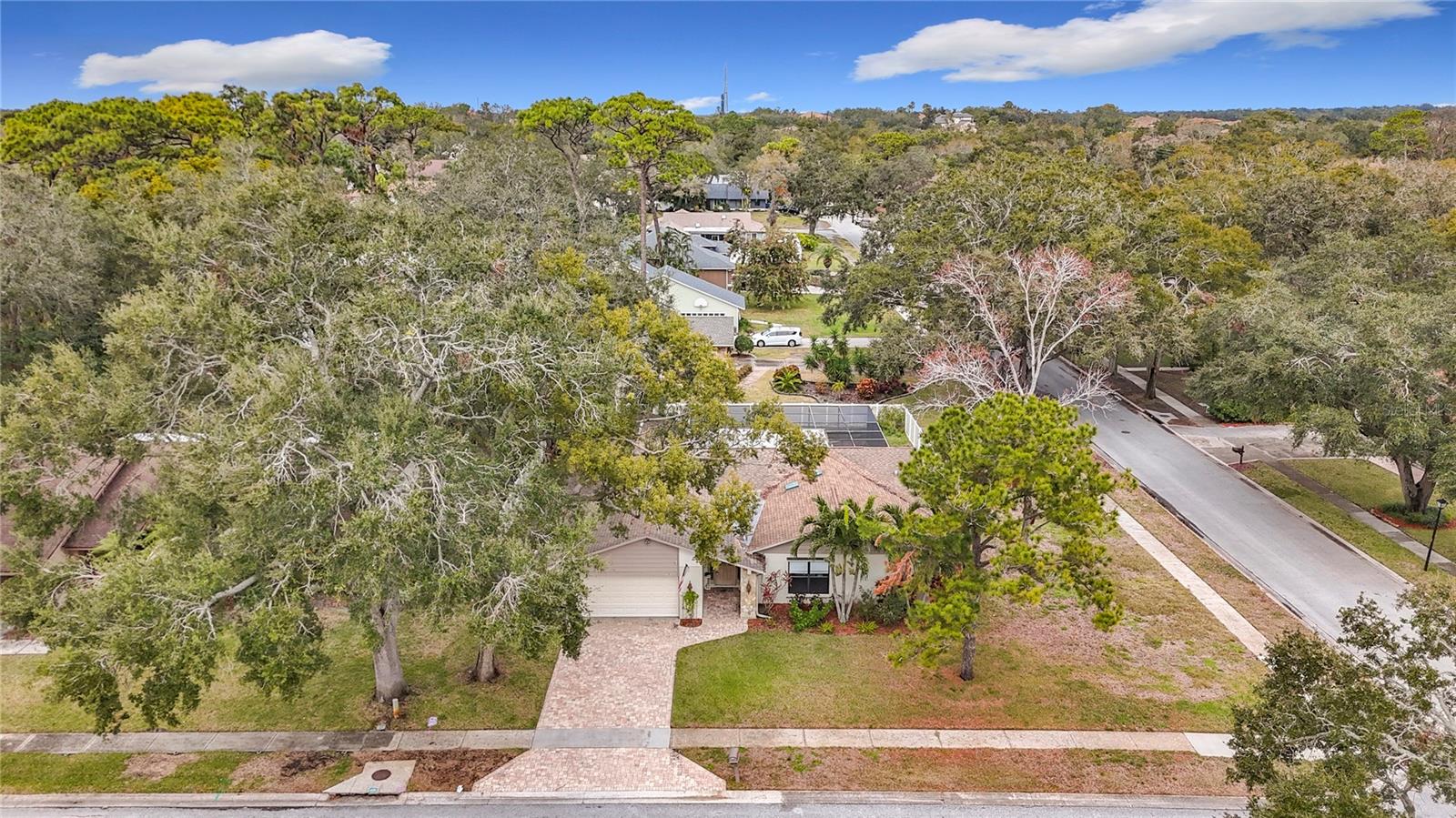 3005 ENISGLEN DR, PALM HARBOR, FL, 34683