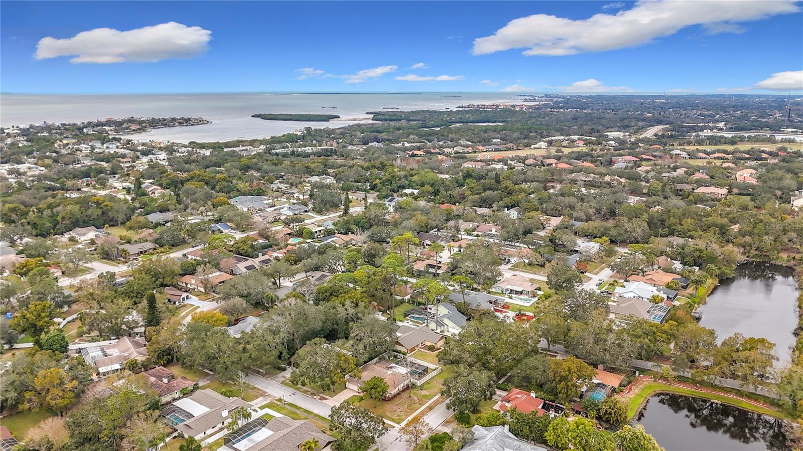 3005 ENISGLEN DR, PALM HARBOR, FL, 34683