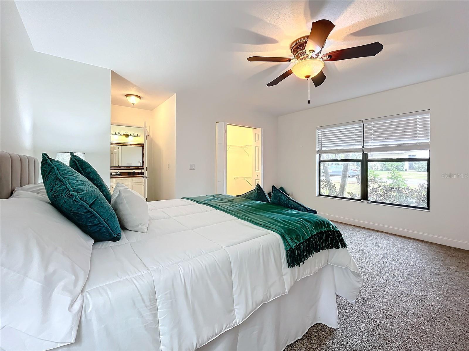 3005 ENISGLEN DR, PALM HARBOR, FL, 34683