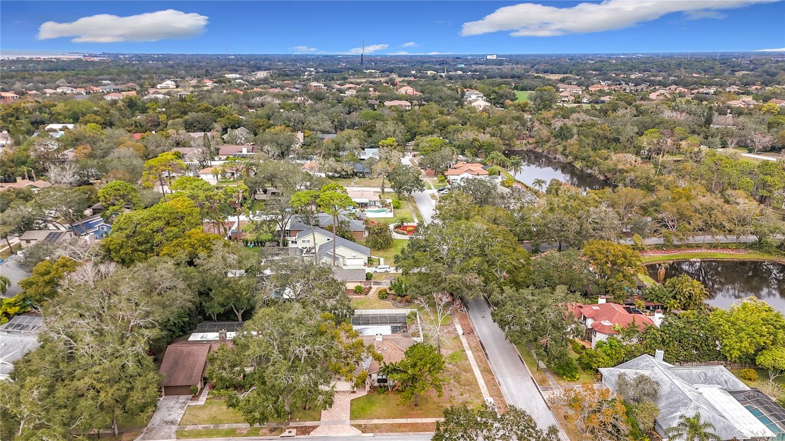 3005 ENISGLEN DR, PALM HARBOR, FL, 34683