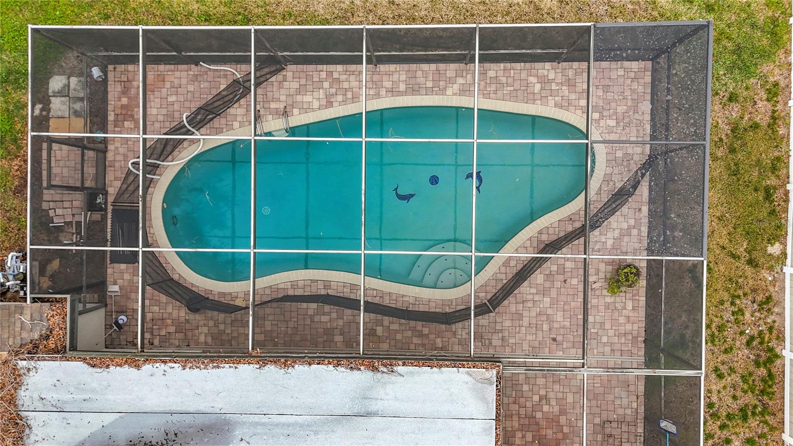 3005 ENISGLEN DR, PALM HARBOR, FL, 34683